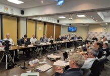 Carlos Saravia solicitó al Consejo de Federal de Energía que se preserven obras eléctricas para Salta