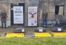 2 gendarmes detenidos e involucrados con los 425 kilos de cocaína de Mosconi