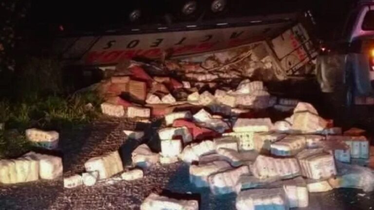 Jujeños saquearon un camión de la Rotonda Lácteos que volcó en Fraile Pintado Jujeños saquearon un camión de la Rotonda Lácteos que volcó en Fraile Pintado