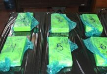 Detienen en Aguaray a un hombre que tiene un negocio de fumigación en Tartagal con 7 kilos de cocaína