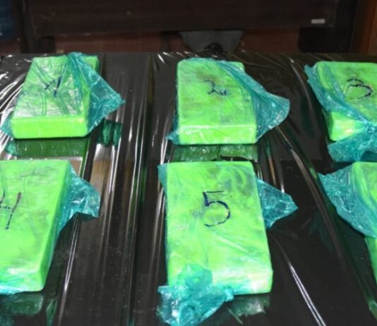 Detienen en Aguaray a un hombre que tiene un negocio de fumigación en Tartagal con 7 kilos de cocaína
