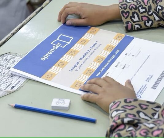 Preocupantes resultados de Aprender 2024: solo el 14,2% de los estudiantes logró nivel satisfactorio en Matemática