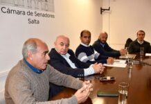 ¡El futbol del interior en crisis! Pidieron en el Senado apoyo financiero