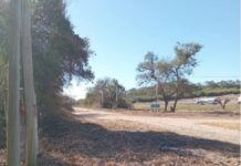 En R° de la Frontera se trabaja para renovar el Circuito Turístico de El Naranjo y Pozo Verde