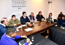 Técnicos e investigadores del INTA plantearon en el Senado su preocupación por recortes y cambios estructurales