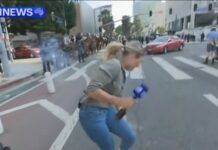 Video: Tensión en Los Angeles: un policía le disparó a una periodista mientras transmitía en vivo