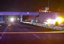 Horror en México: aparecieron los cuerpos de 20 hombres colgando de un puente y decapitados