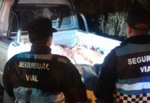 Secuestran en La Caldera 250 kilos de carne vacuna transportadas en la caja de una camioneta