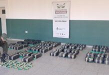 Salió un camión de Orán con 270 kilos de coca y lo paro Gendarmeria en Santiago