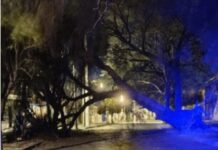 El fuerte viento despertó a los salteños y provocó voladura de techos, caída de postes y de árboles