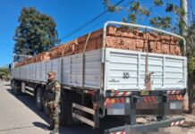 Secuestran en Anta un cargamento de tablas de quebracho colorado, urundel y cebil