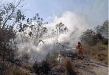Un incendio de cañaverales puso en peligro viviendas de aborígenes en Orán