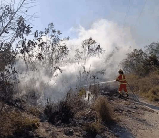 Un incendio de cañaverales puso en peligro viviendas de aborígenes en Orán
