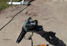 Motosierra asesina: podaba un árbol y murió desangrado al arrancarse su propia pierna