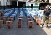 Salió de Orán un camión con 1.000 kilos de hojas de coca y 55 mil paquetes de cigarrillos extranjeros