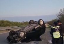 Dos heridos al chocar un automóvil con una vaca en la ruta 50 en Orán