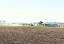 Tragedia en Córdoba: se estrelló una avioneta durante un festival de acrobacias y murieron sus dos tripulantes