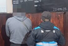 Robó, huyó y lo pescaron: ya tenía otras causas, pero seguirá libre