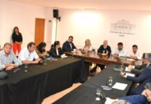 Gerentes de hospitales hablaron en el Senado sobre la dificultad para cubrir servicios básicos