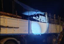Secuestran en Las Lajitas un camión cargado con postes de quebracho colorado y palo santo