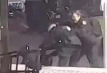 ¡No es Brad Pitt! Dos mujeres policías a los golpes en una comisaría jujeña: salían con el mismo oficial