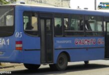 Se complica el transporte urbano en Orán