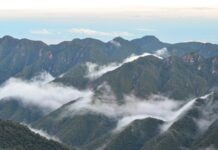 La Corte Suprema condenó al Estado nacional y a Jujuy por daño ambiental en el Parque Nacional Calilegua