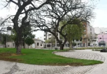 Las viejas instalaciones de la ex Palúdica en el Paseo Güemes se tranformaron en una plaza
