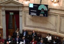 Senado: la oposición dejó sin efecto el veto de Milei y reactivó la ley de emergencia en discapacidad
