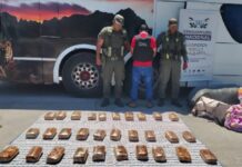 Detienen en Tucumán a un boliviano que salió de Salta en colectivo con 32 kilos de marihuana