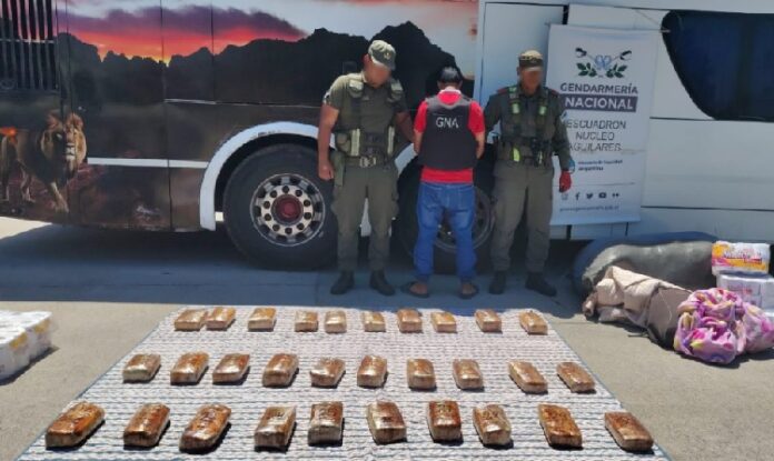 31 kilos de marihuana