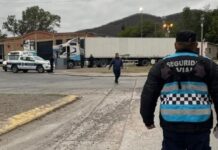 Una motociclista perdió la vida al chocar con un camión en la avenida Delgadillo