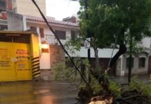 La Municipalidad intervino en más de 30 incidentes tras la tormenta