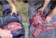 En Orán traen de Bolivia carne en mochilas para vender en distintos barrios de la ciudad