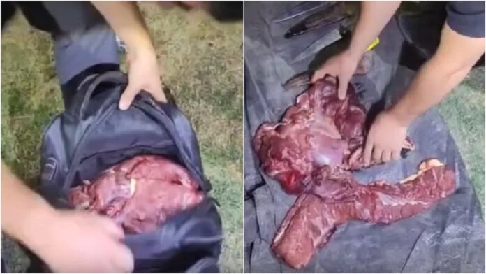 carne en mochilas