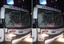 Un colectivo de la Veloz del Norte choco anoche con un caballo cerca del Tunal en la ruta 16