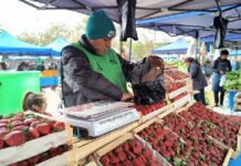 Hoy  “El Mercado en tu Barrio” esta en la UNSa