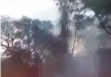 Incendio intencional en la zona de Aguas Blancas: denuncian que un hombre huyó al ser grabado