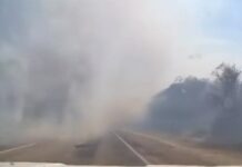 Los incendios en el norte produjeron caída de postes y cortes de a energía