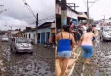 Insólita lluvia de ranas en Brasil