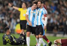 Mañana a las 13 juega Argentina vs Angola en el último amistoso del año: cómo verlo en vivo