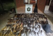 10 pescadores sancionados por pesca ilegal en el Bermejo