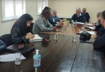 El Senado de Salta y el Colegio Médico analizaron opciones para cubrir especialidades críticas