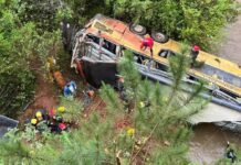 Tragedia en Misiones: un colectivo embistió a un auto, cayó a un arroyo y dejó al menos 8 muertos y 29 heridos