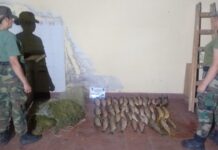 Multan a tres hombres, secuestran redes y 40 pescados en Las Lajitas