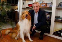 Murió Dylan, el perro de Alberto Fernández: la despedida en redes del ex Presidente