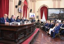 Asumieron 10 senadores que cumplirán el mandato 2025-2029