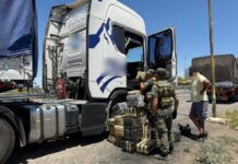 Camionero jujeño viajaba a Chile con 306 kilos de hojas de coca