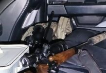 Un cazador mato a un puma con una carabina con silenciador y mira telescópica en Güemes