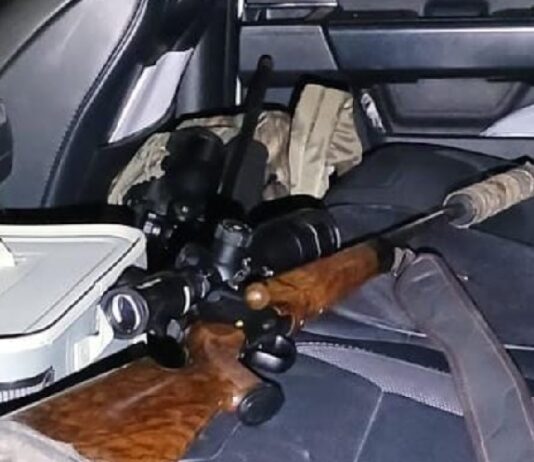 Un cazador mato a un puma con una carabina con silenciador y mira telescópica en Güemes